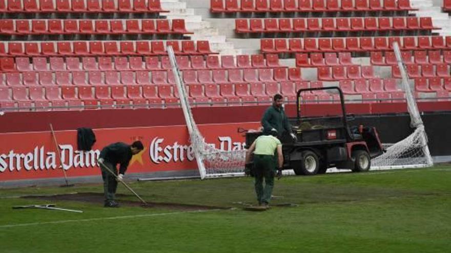 Obres Nova gespa a l&#039;àrea tècnica i les porteries