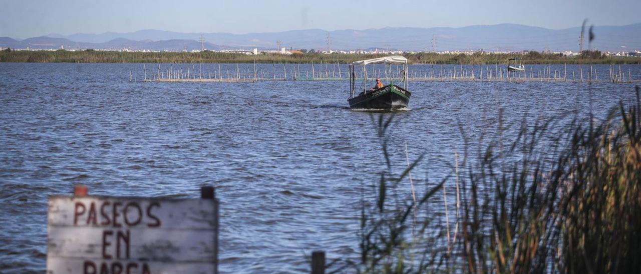 Los pesticidas que afectan a la flora de l’Albufera se incrementan en el último lustro