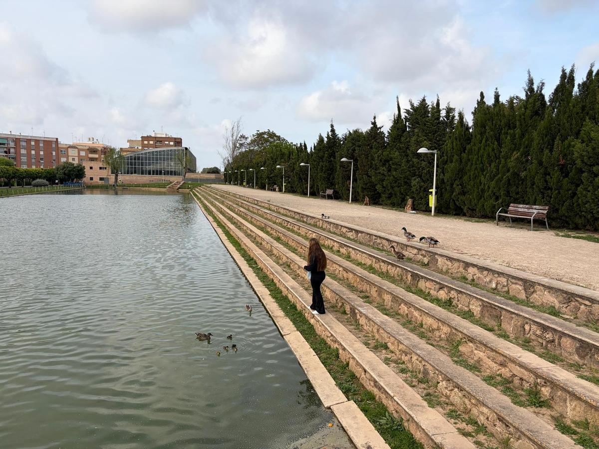 Una joven da de comer a los patos del lago.