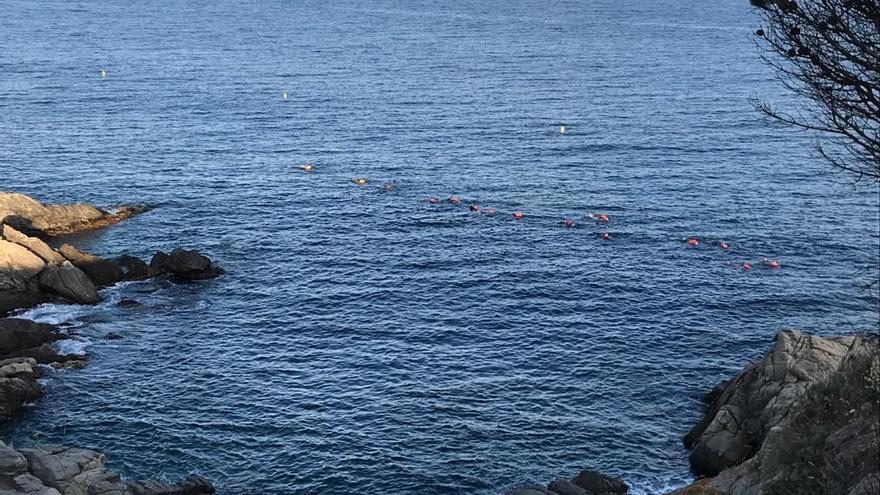 Palamós estrena una Via Blava de natació segura entre les platges de La Fosca i Castell