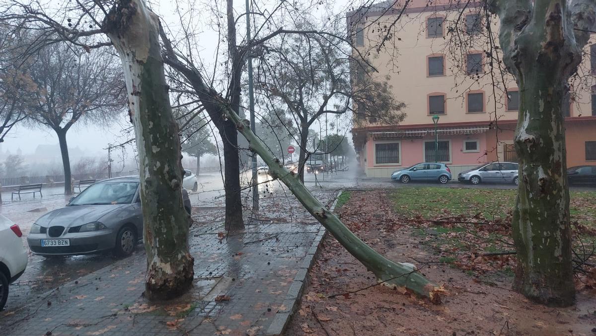 Aviso naranja en Córdoba