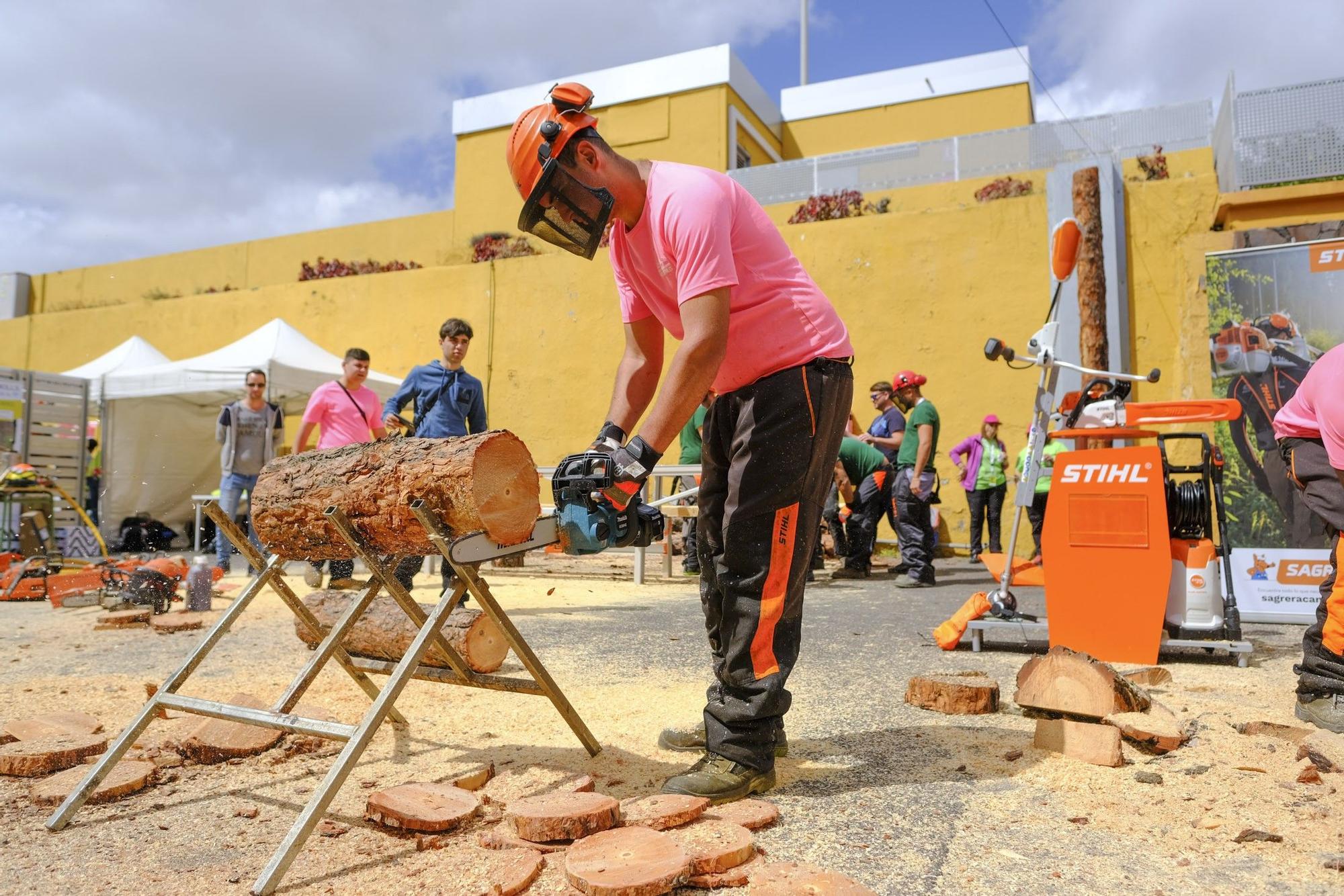 Congreso de FP Dual - Competición Canarias Skills 2023