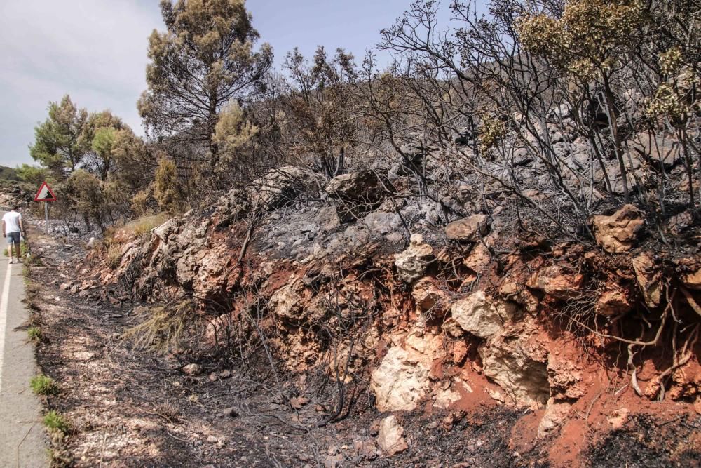 Incendio en la Vall de Gallinera