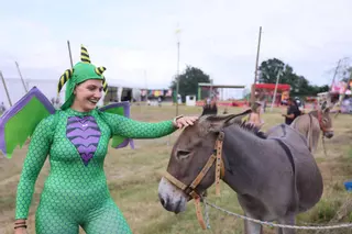 Burros a todo trapo en la "loca galopada asnal" de las fiestas de Collao (Siero): "Nos lo hemos pasado genial"