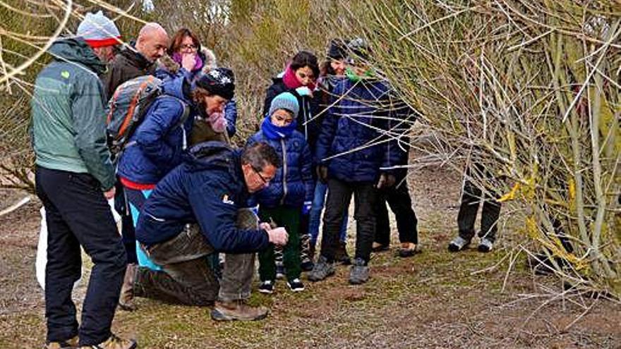 Un técnico de Vilafáfila realiza una labor didáctica con pajarillo.