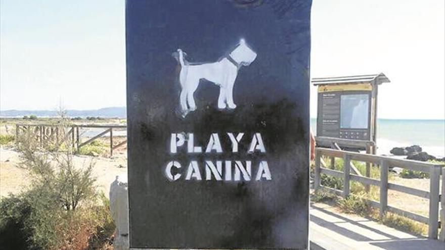 Defensores de la playa canina de Cabanes agreden a una empleada