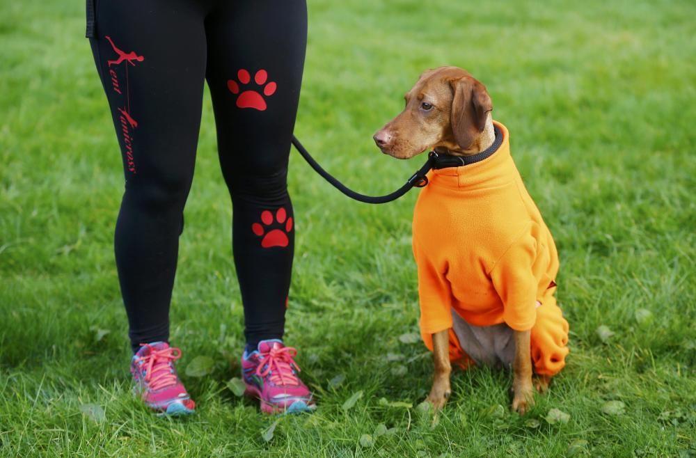 Les imatges més divertides del Crufts Dog Show