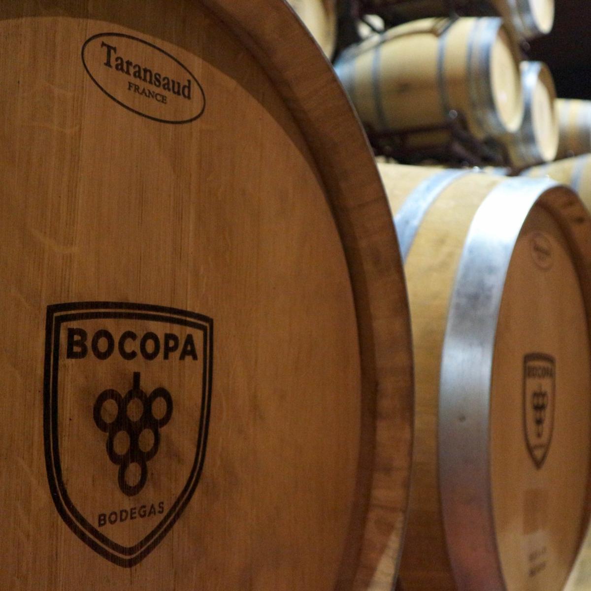 Vinos tintos, blancos y espumantes son algunas de las variedades que ofrece Bocopa.