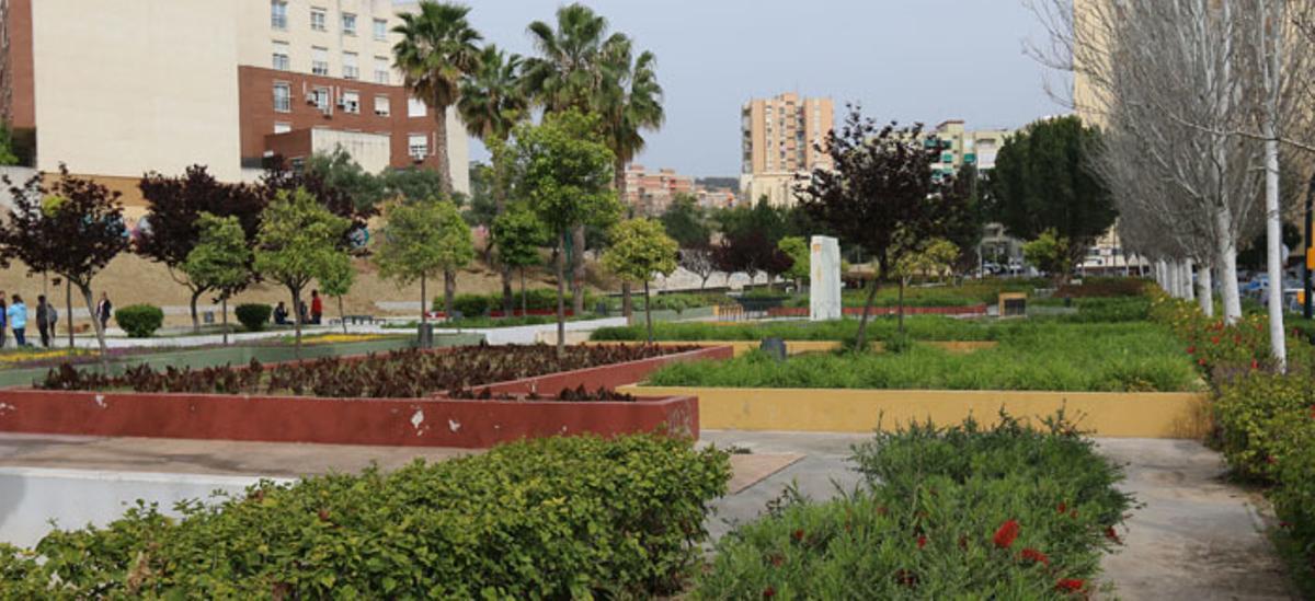 Cuarenta años de un proyecto en común