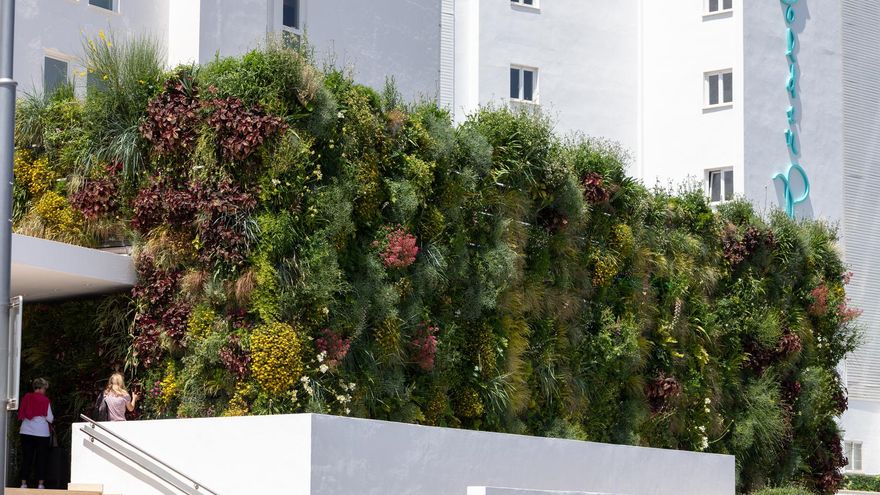 Vertikale Gärten auf Mallorca – Natürliches Design mit Verd Sóller