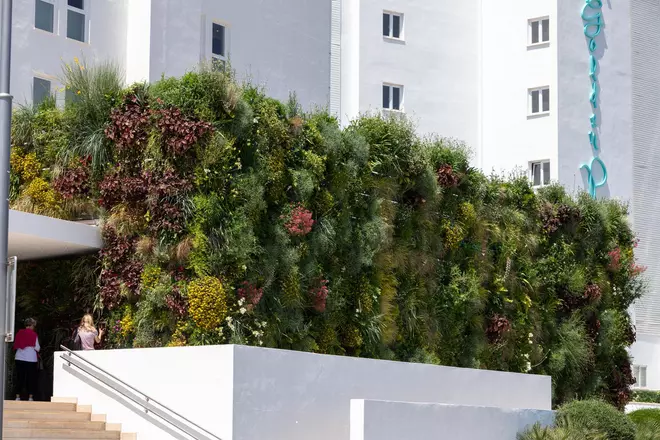 Vertikale Gärten auf Mallorca – Natürliches Design mit Verd Sóller