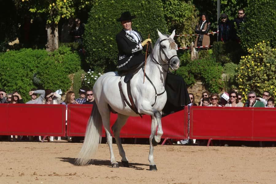 Caballos en el Alcázar