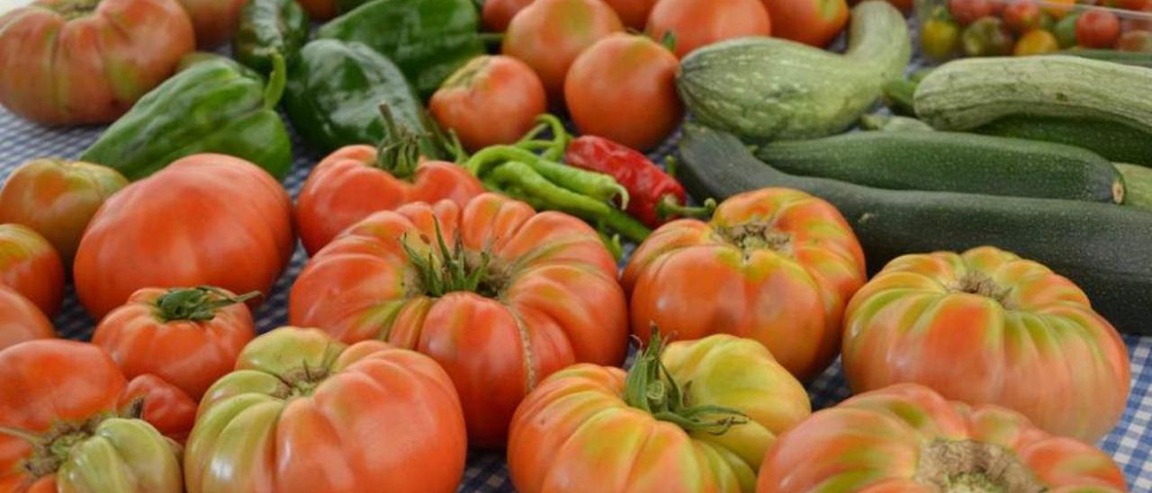 Variedad de tomates y calabacines.