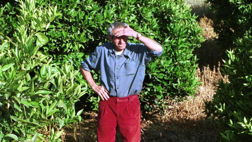 Un agricultor contempla el agua de riego.