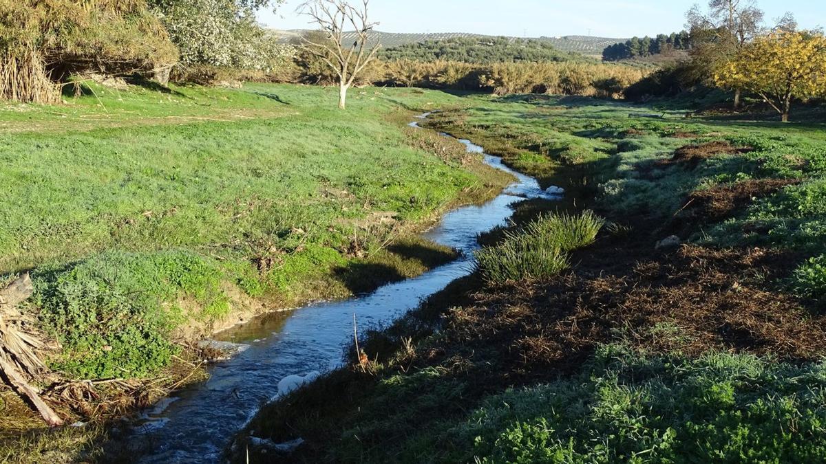 El río Marbella, a su paso por el entorno de la huerta La Robliza.