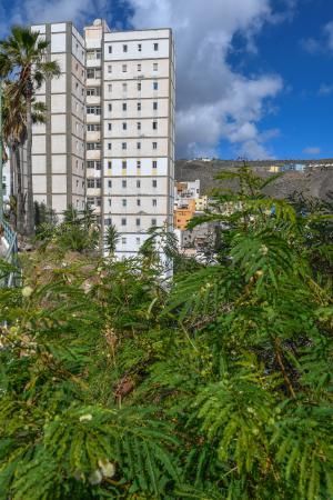 28-04-20  LAS PALMAS DE GRAN CANARIA. BARRIO DE TRES PALMAS. LAS PALMAS DE GRAN CANARIA. Humedades en uno de los Bloque del barrio de Tres Palmas por la rotura de una tubería y que esta afectando a varias viviendas.  Fotos: Juan Castro.  | 28/04/2020 | Fotógrafo: Juan Carlos Castro