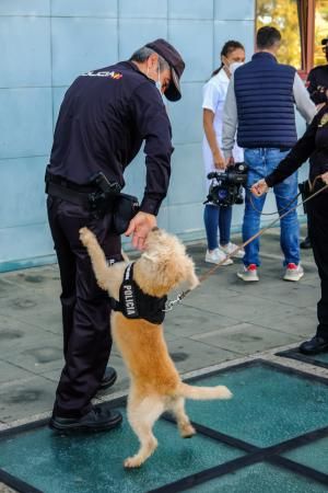 La Policía Nacional entrega en adopción a “Basco”