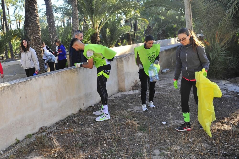 Limpieza de huertos para proteger el Palmeral