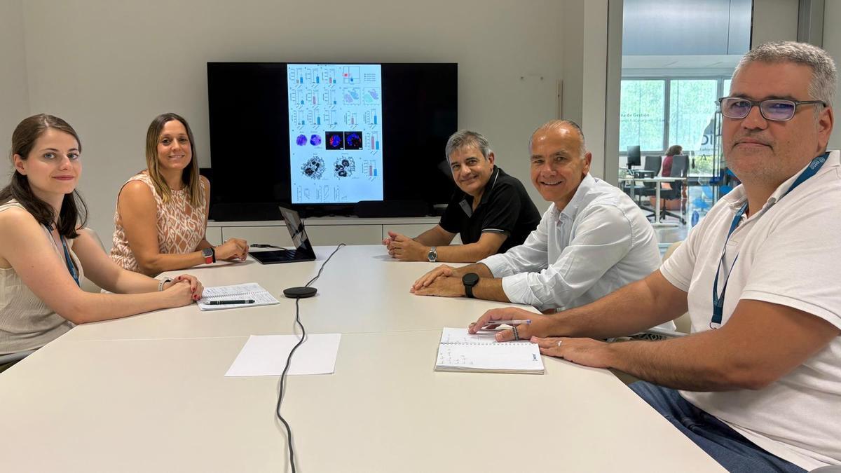Investigadores de IBIMA.