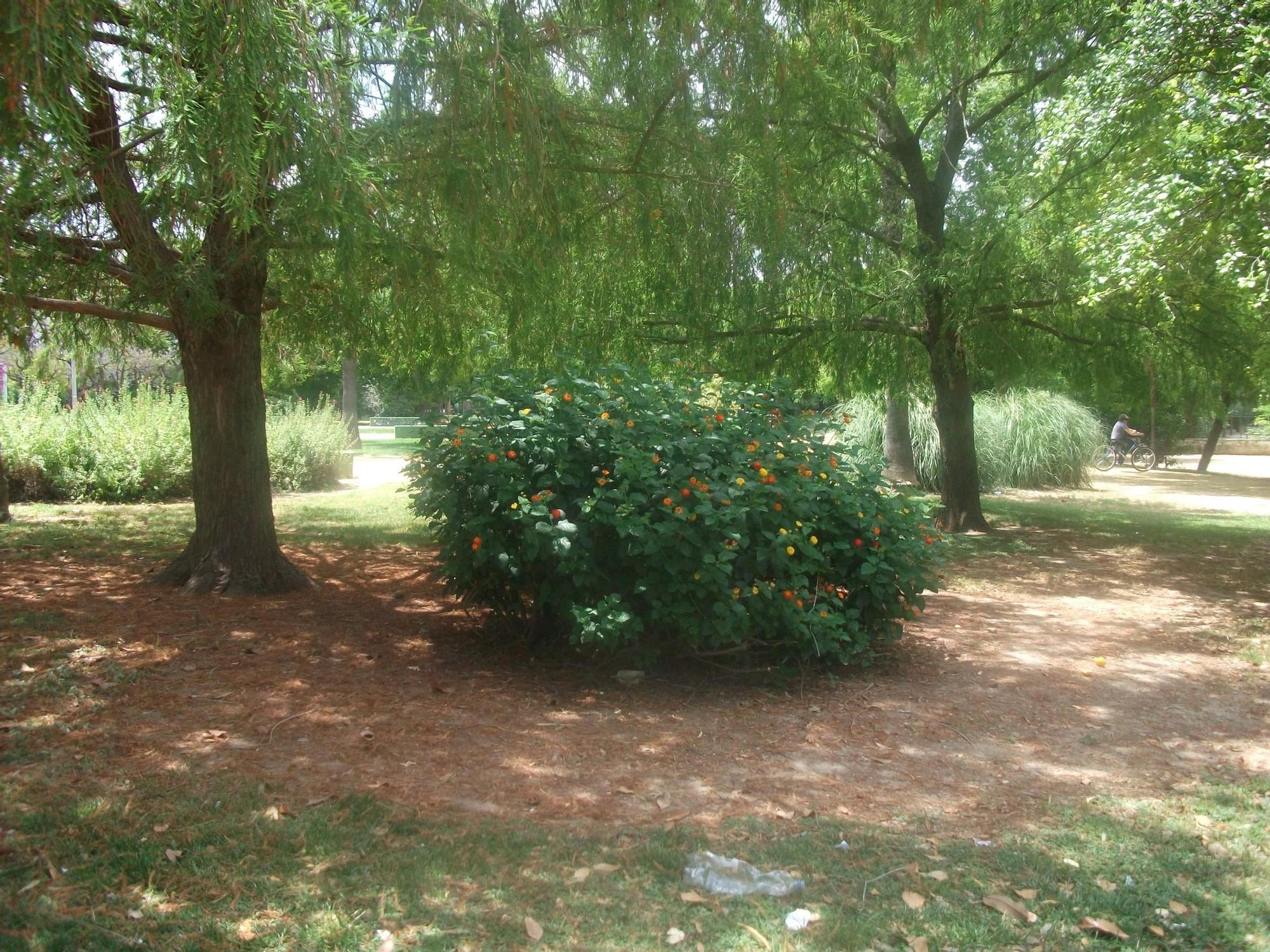 Parque José Celestino Mutis, Sevilla