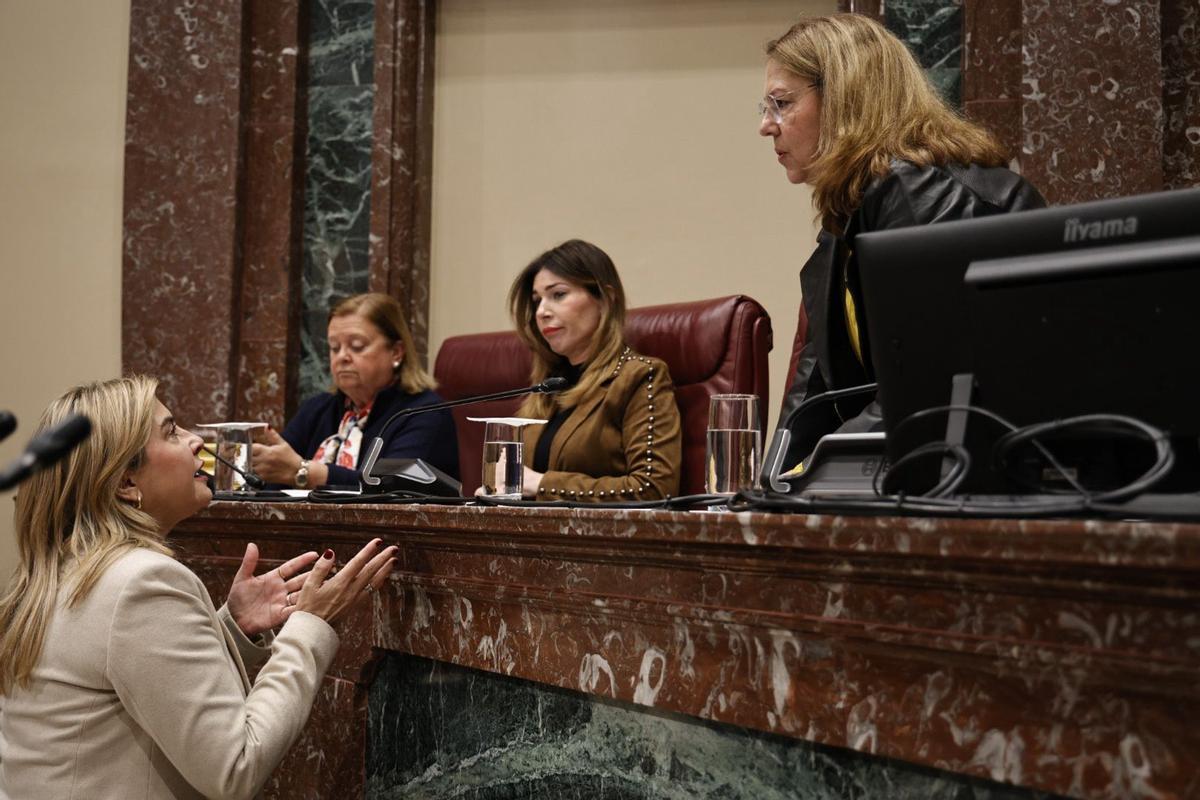 La portavoz socialista, Carmina Fernández, se dirige a la presidenta de la Asamblea, Visitación Martínez, antes de empezar el pleno.