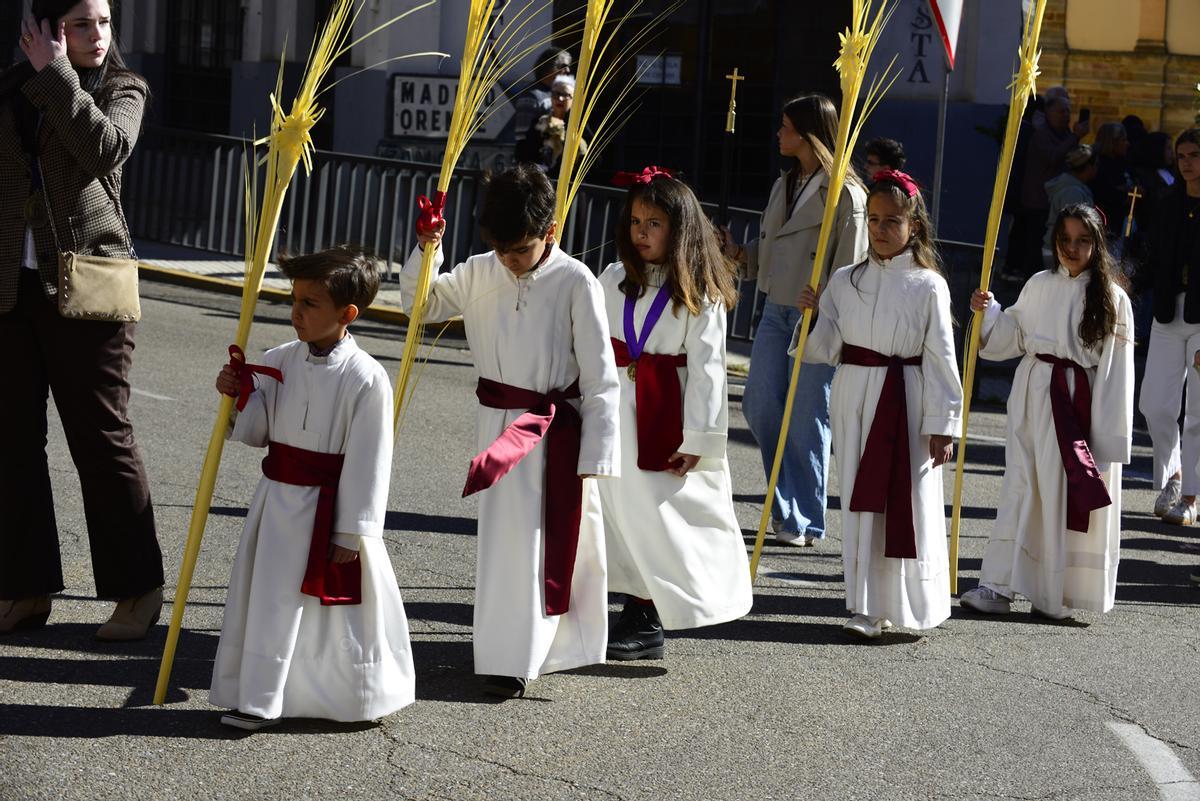GALERIA | Procesión de Jesús en la Borriquilla en Benavente GALERIA | Procesión de Jesús en la Borriquilla en Benavente