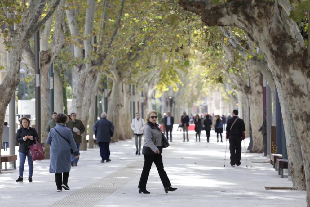 El paseo Alfonso X de Murcia, completamente peatonalizado