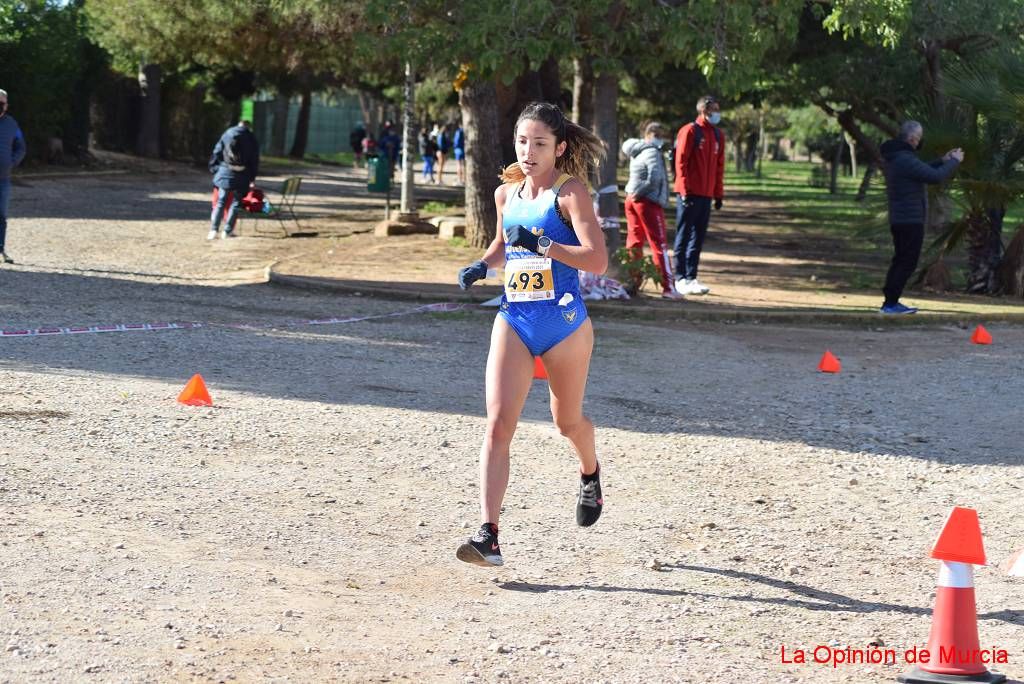 Copa de clubes de cross (I)