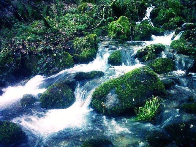 Fuentes del Narcea, Asturias