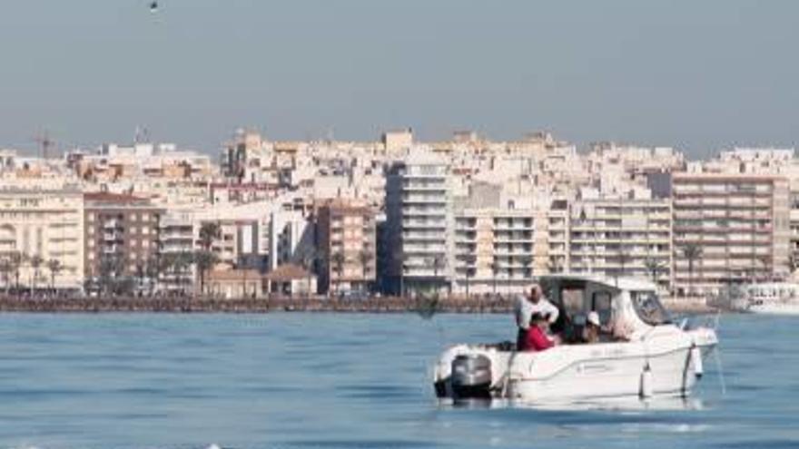 Imagen panorámica del casco urbano de Torrevieja