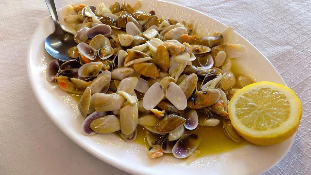 Un plato de coquinas de la Choza de Manuela, en Bormujos.