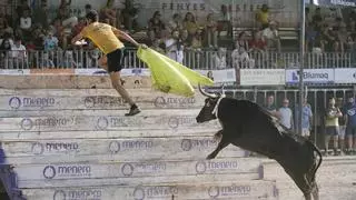Els Coves exhibe a la mejor vaca hasta el momento del concurso de les Penyes de la Vall en un estreno insuficiente para aspirar a pódium