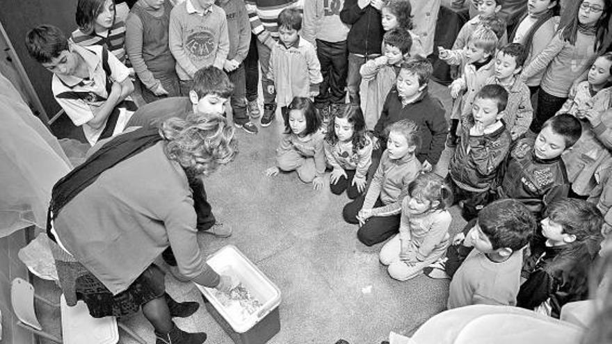 Expectación en el centro educativo, ayer, ante la llegada de las angulas.