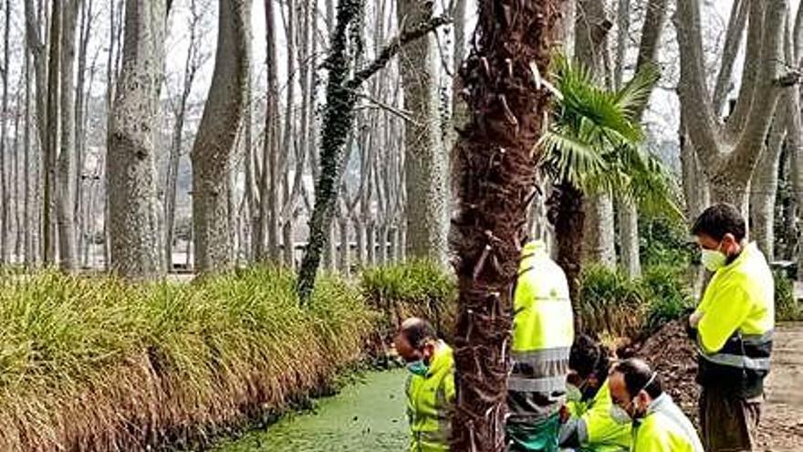 L&#039;actuació als jardins de la Devesa.