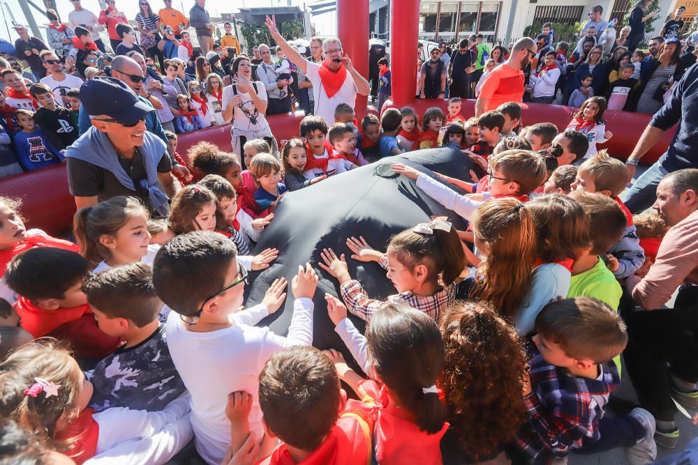 Toros "bravos" y carreras con el San Fermín infantil en de las fiestas patronales de Torrevieja