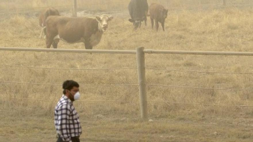 El volcán Calbuco (Chile) despierta 43 años después