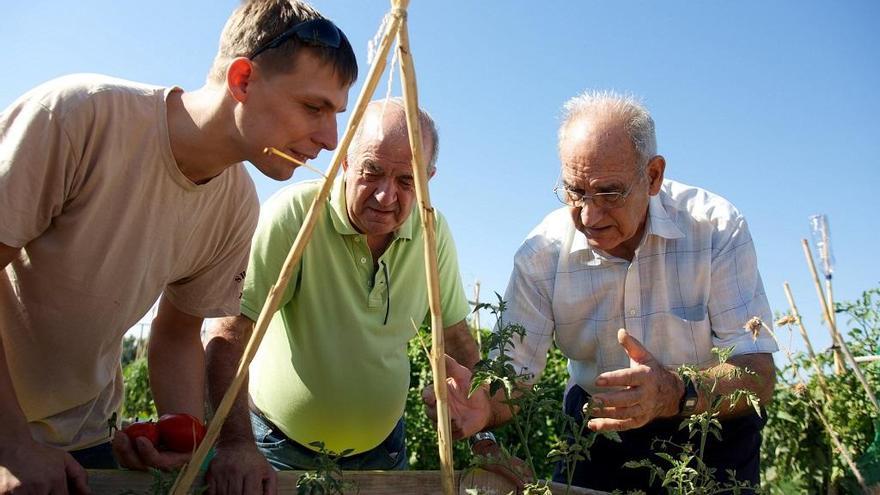 La Obra Social la Caixa fomenta el voluntariado entre las personas mayores.