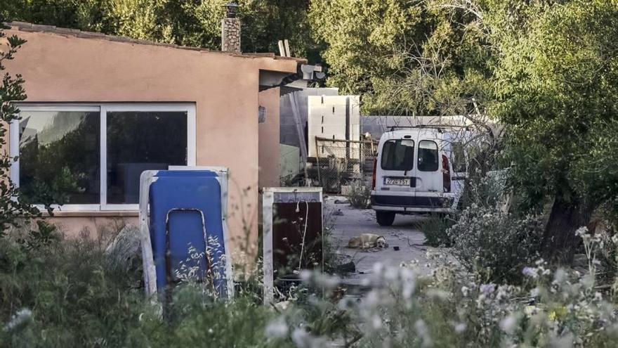 Uno de los perros que había en la finca de Llucmajor.