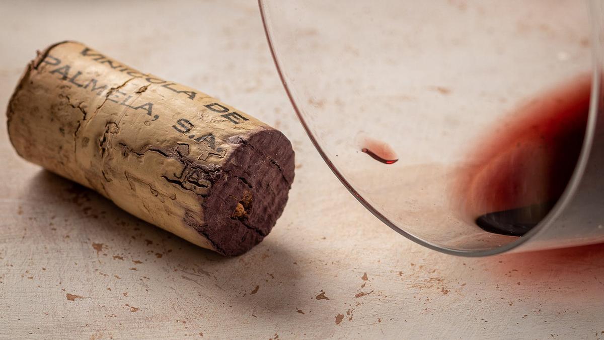 CORCHO EN LA NEVERA  Corcho de vino cortado en la nevera: la solución que  destierra el problema de nuestra nevera