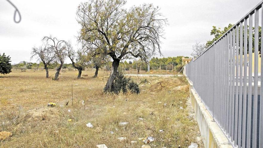 Imagen del solar donde está proyectado el futuro centro de salud de Consell.