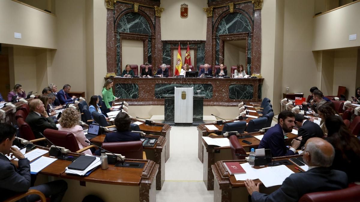 Pleno de la Asamblea Regional