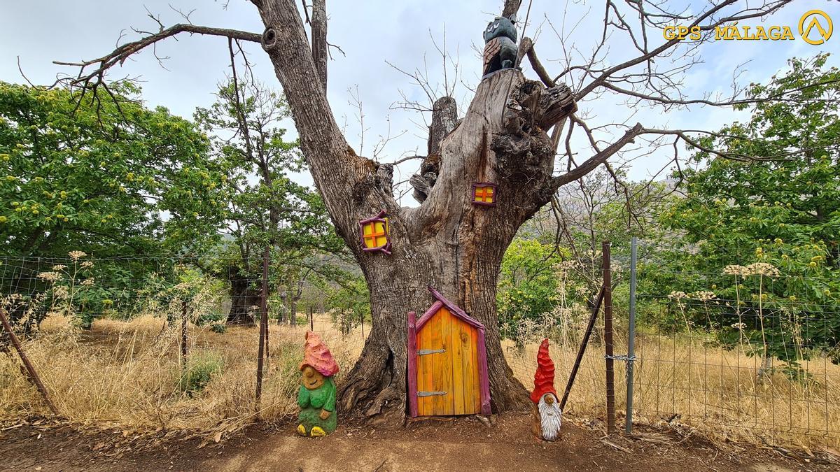 Las tres rutas de senderismo para disfrutar de la Málaga más 'salvaje' en familia