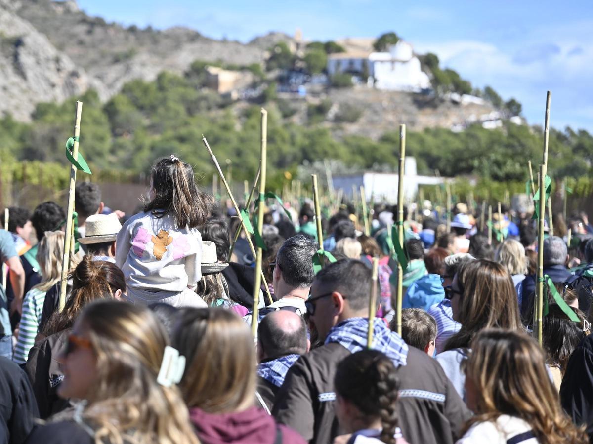 Romeria del año pasado.