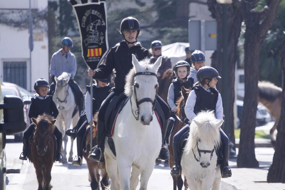 Festa de Sant Antoni Abad a Torroella de Montgrí