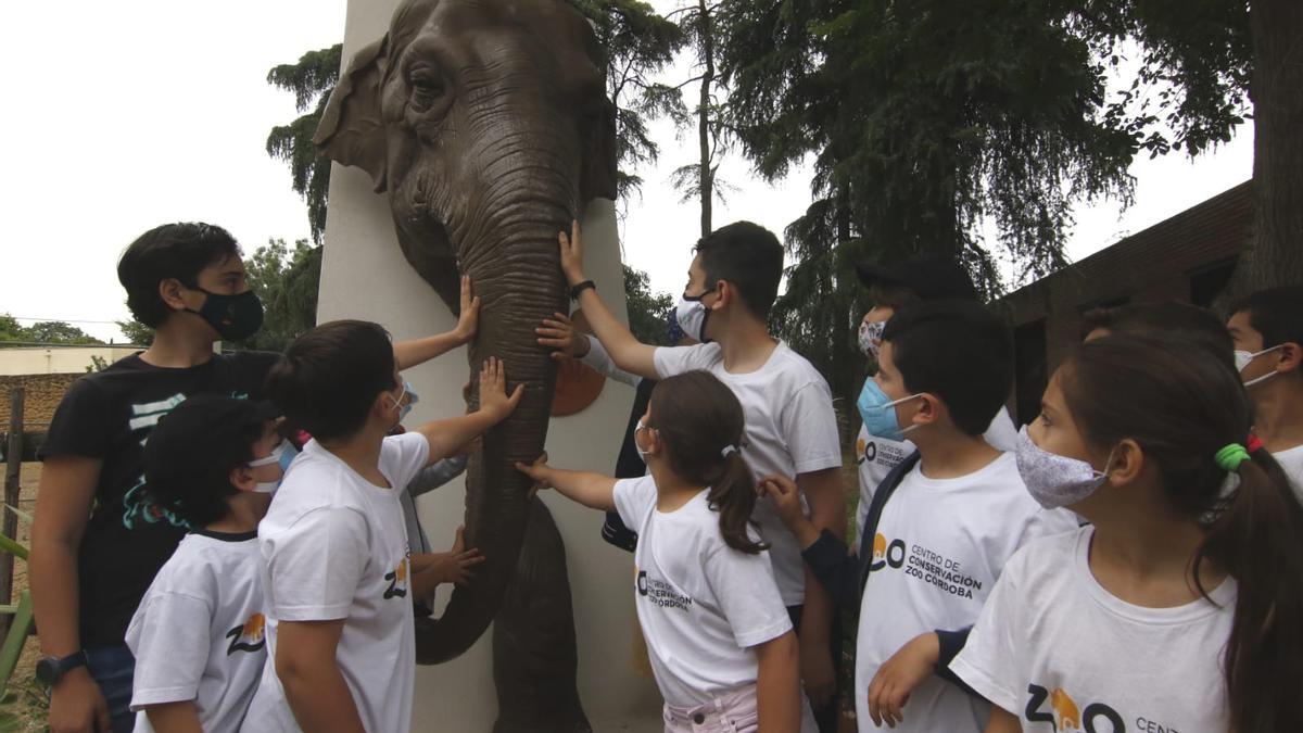 Homenaje a Flavia, la elefanta del zoo de Córdoba