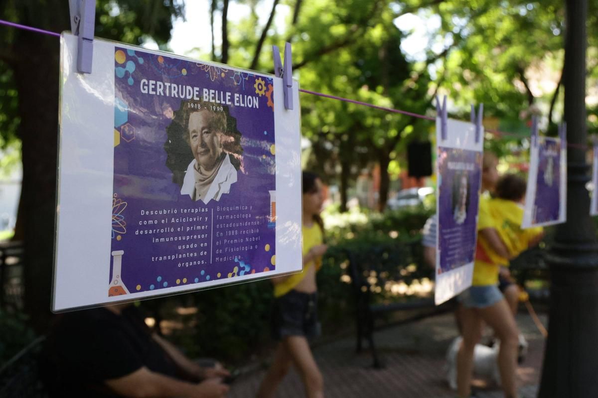 Fotogalería | 25 niños cacereños descubren la ciencia