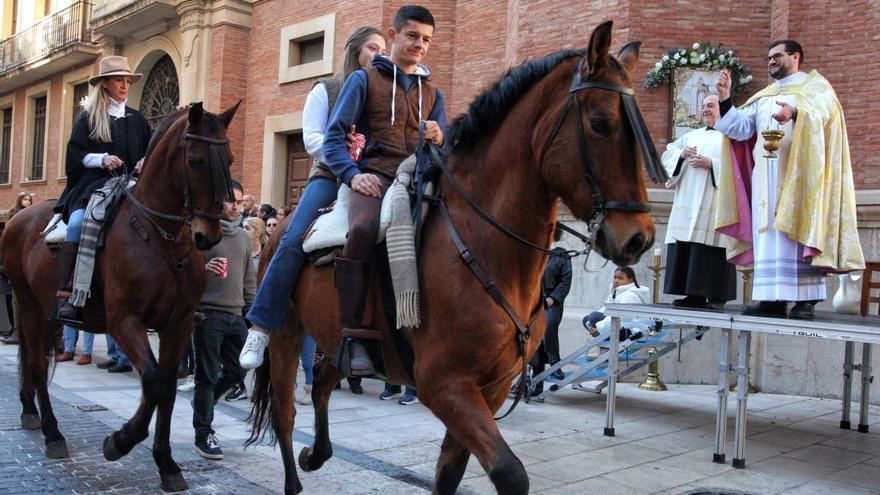 Las 15 zonas de Castelló donde puedes disfrutar de las fiestas de San Antonio Abad 2026