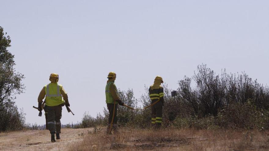 Trabajadores del operativo del incendios apagando un fuego