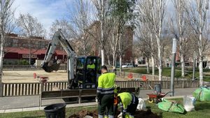 Replantación de árboles en la plaza de Andalucía de Mataró