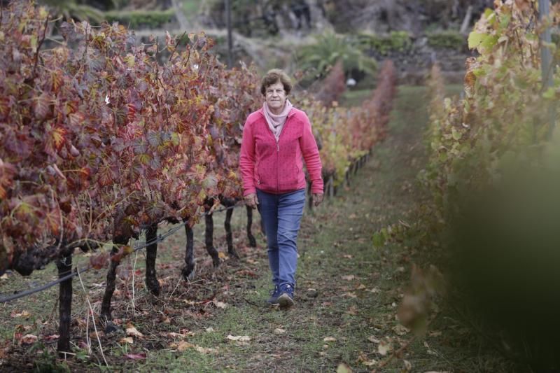 Cecilia Farráis Lorenzo, Chila, de Bodega Tajinaste